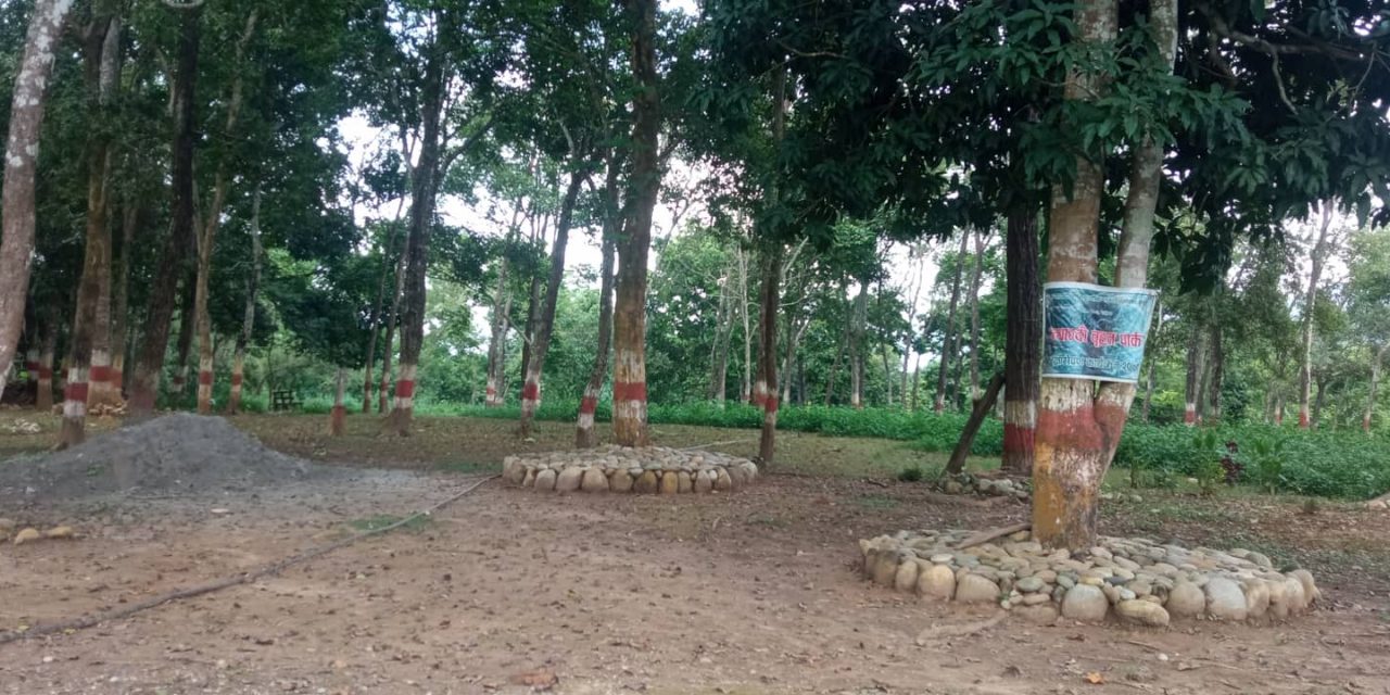 एकपटक घुम्नैपर्ने ‘ज्याग्दी सामुदायिक वन’