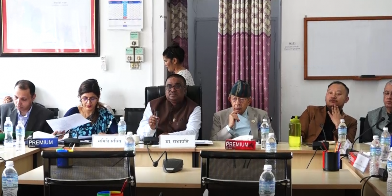अभिलेख संरक्षणसम्बन्धी कानुनी व्यवस्थालाई समयानुकूल बनाउनुपर्नेमा सांसदहरुको जोड