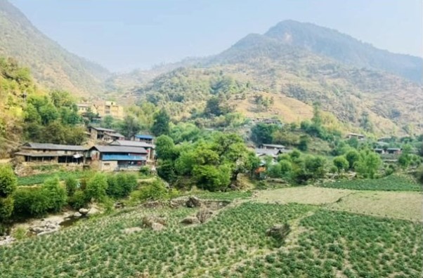 भाँगो र आलुसँग चामल साटेर गुजारा गर्दै बागलुङको रमुवाका बासिन्दा