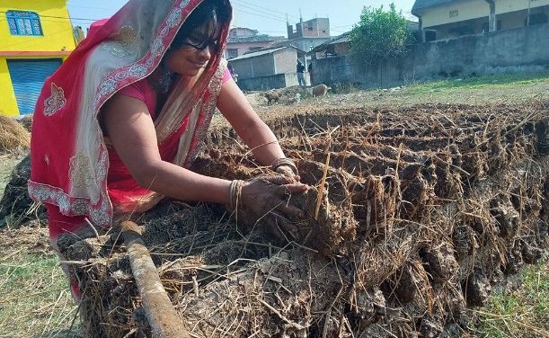 प्रचण्ड गर्मीमा ‘गुइँठा’ बनाउँदै महोत्तरीका गृहिणी