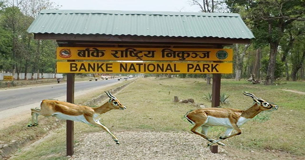 बाँकेका पर्यटकीय पूर्वाधारमा लगानी बढाउन आग्रह