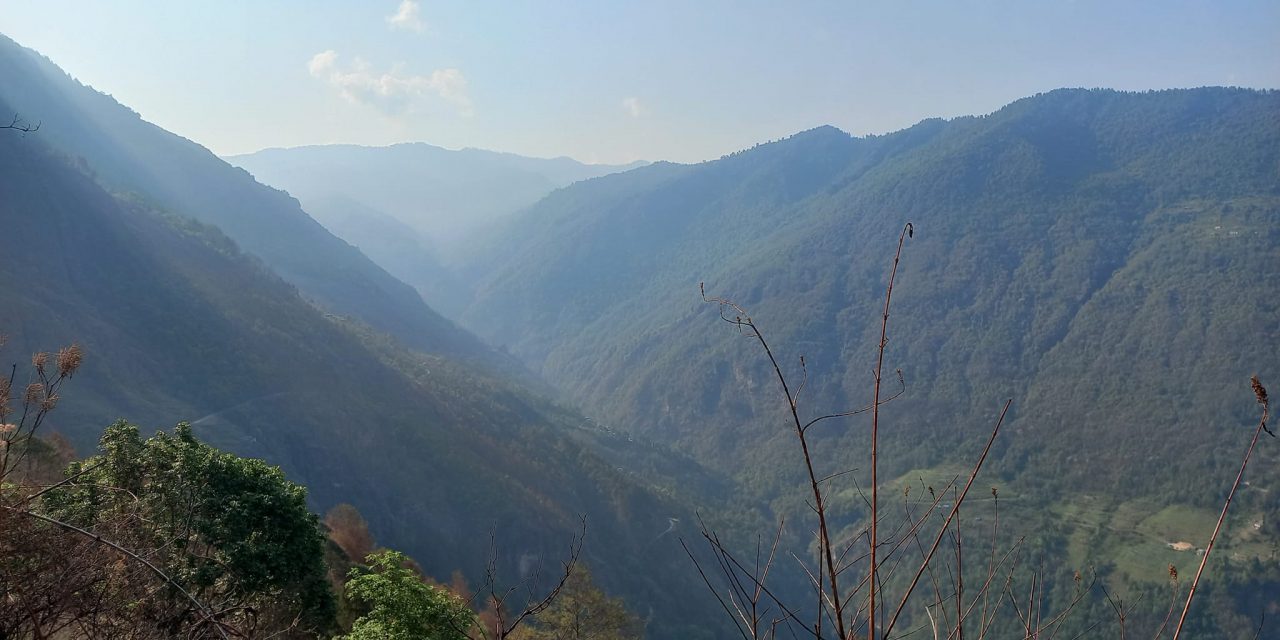 डढेलोको असर : देखिन छाडे जङ्गलमा जनावर