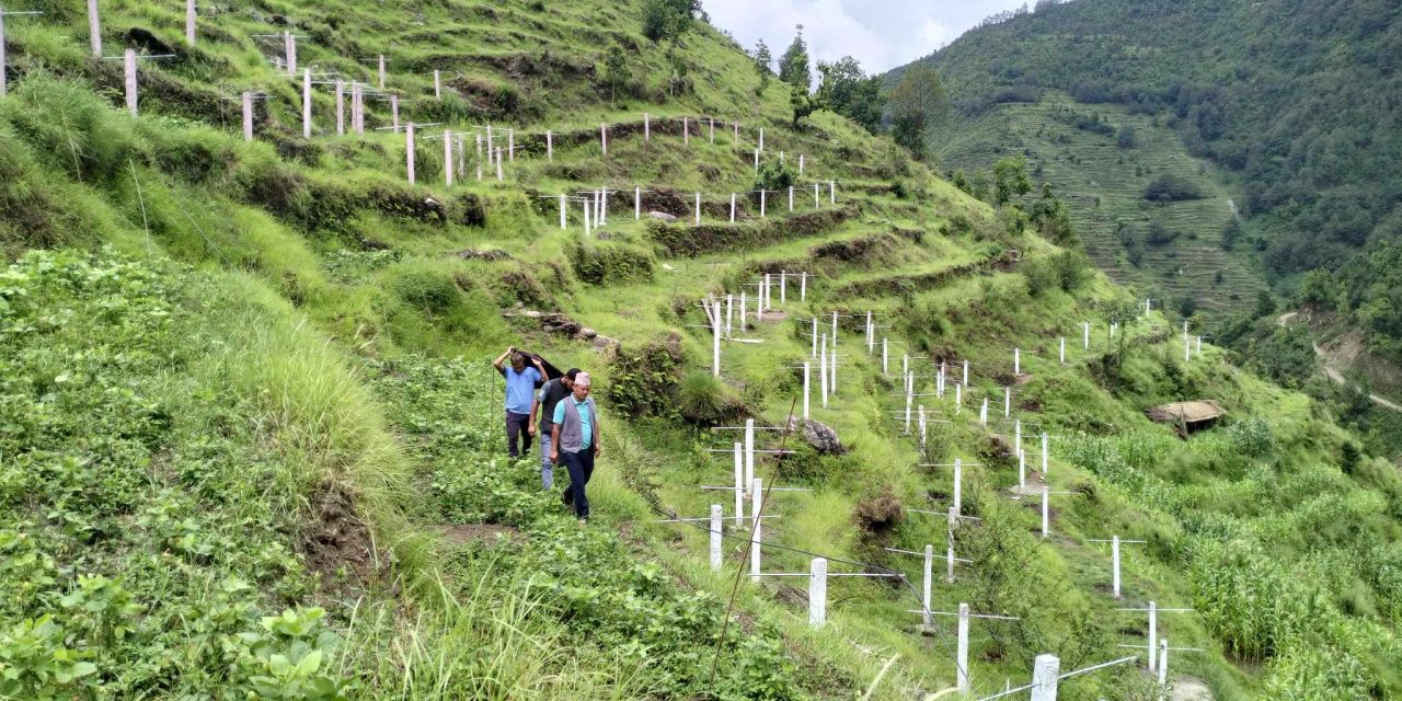 क्लाबन्दीपछि बाँझो जग्गा हराभरा
