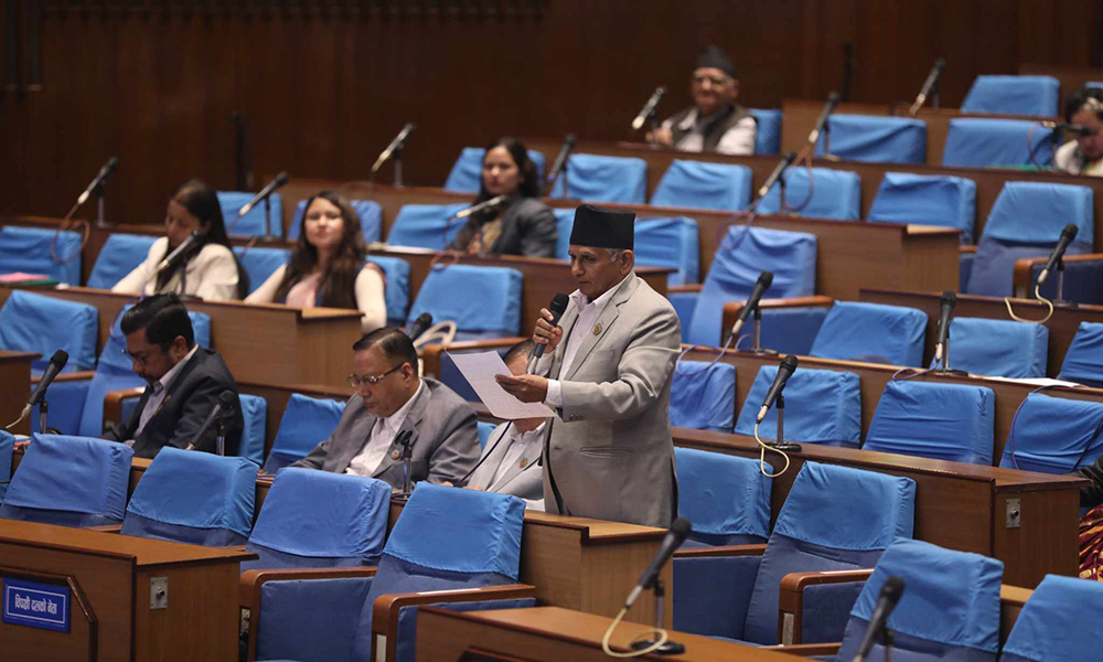 भिजिट भिसा प्रकरणमा अविलम्व छानविन समिति गठन गरिनुपर्छ : हितराज पाण्डे