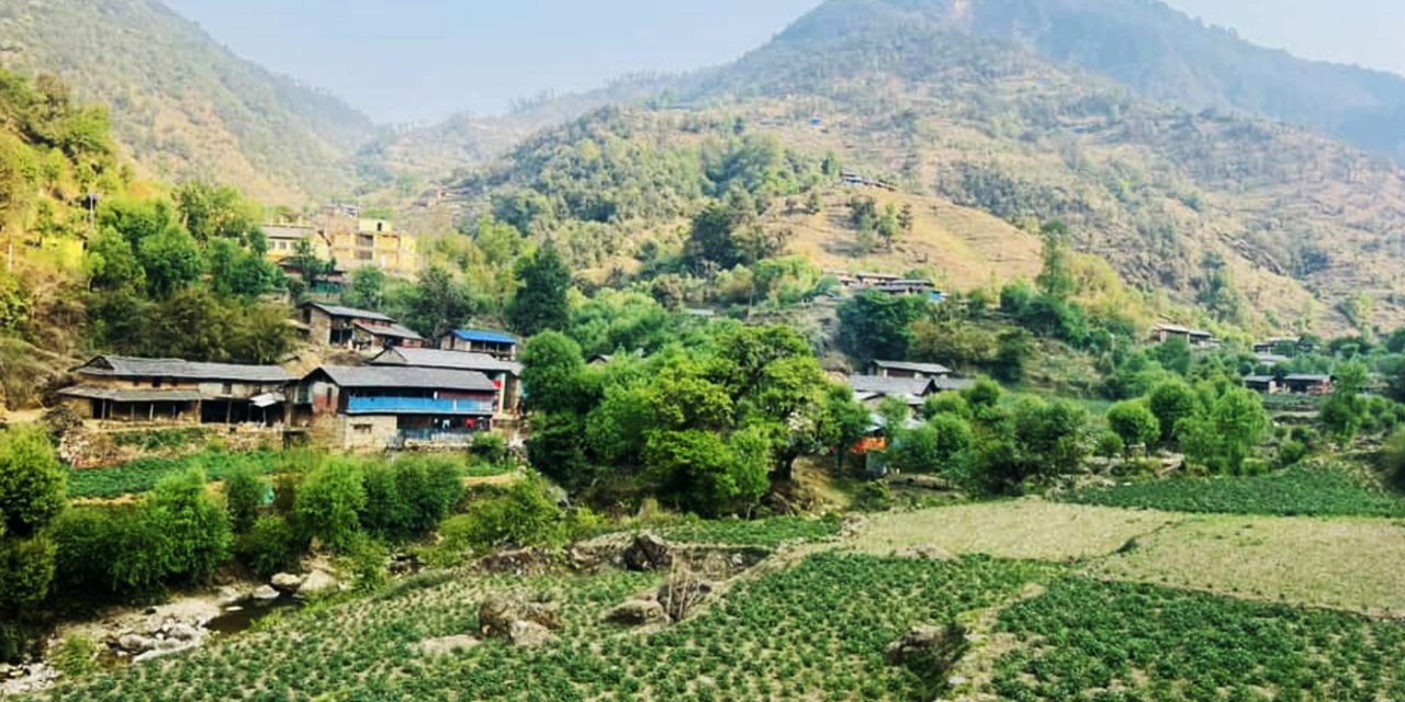 बागलुङमा ५६ हजार दुई सय ४० ‘मेट्रिकटन’ आलु उत्पादन
