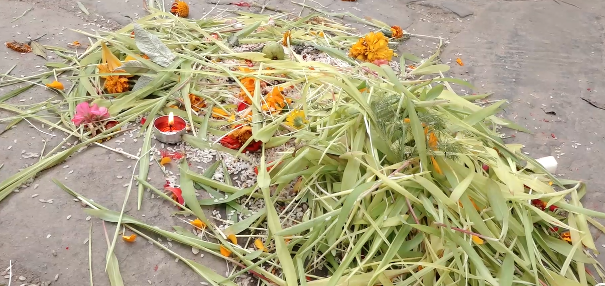 आजदेखि दसैं समापन, जमरा बिसर्जन गरियो