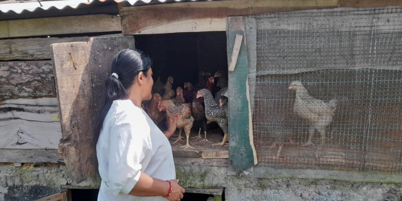 कृषि फार्मबाट वार्षिक १२ लाख आम्दानी