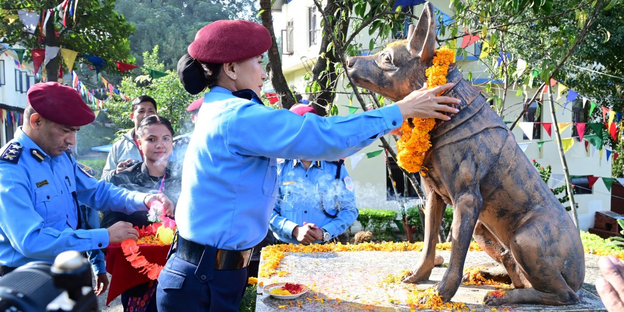 नेपाल प्रहरी केनाईन कार्यालय महाराजगंजमा कुकुर पूजा