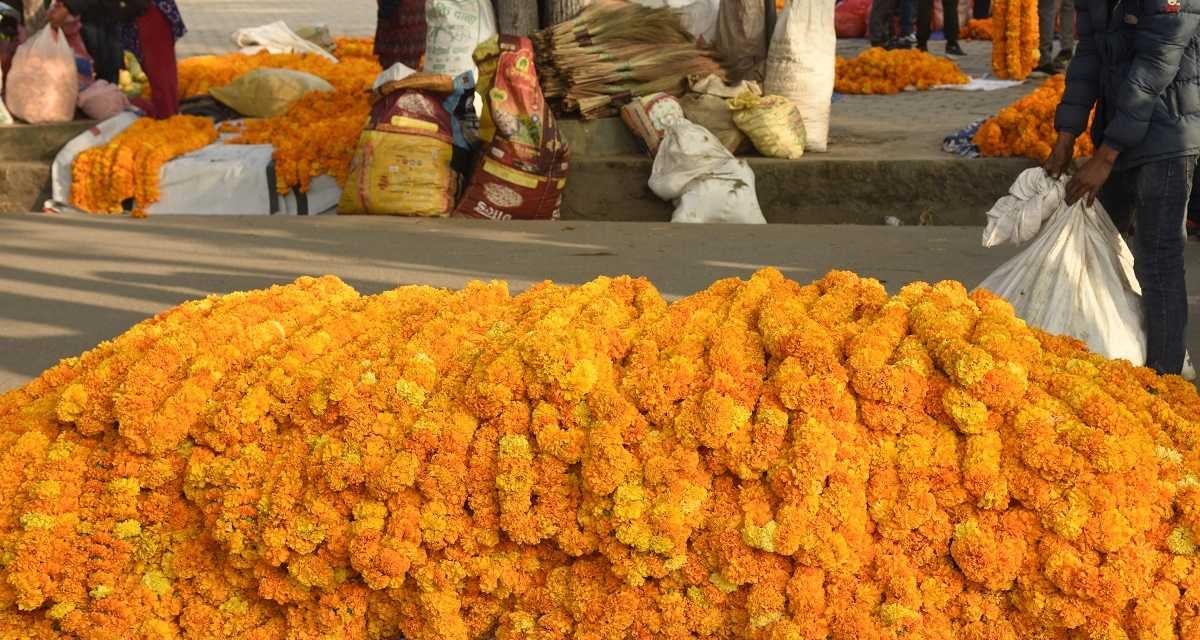 काठमाडौँ महानगरद्वारा ३५ बोरा प्लास्टिकका माला बरामद