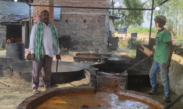 महोत्तरीका किसान उखु पेलेर सख्खर बनाउन व्यस्त