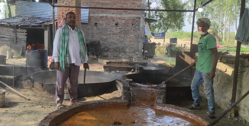 महोत्तरीका किसान उखु पेलेर सख्खर बनाउन व्यस्त