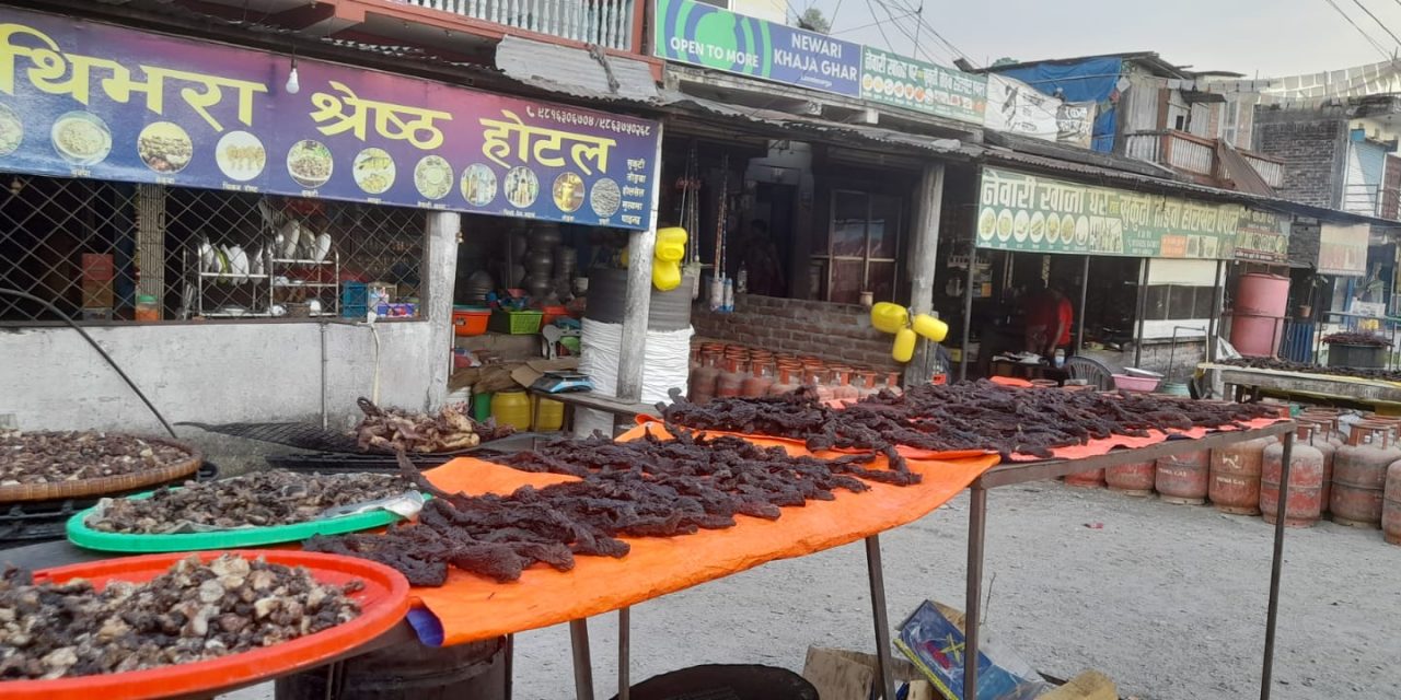 सुकुटी बेचेर मासिक दुई लाख आर्जन