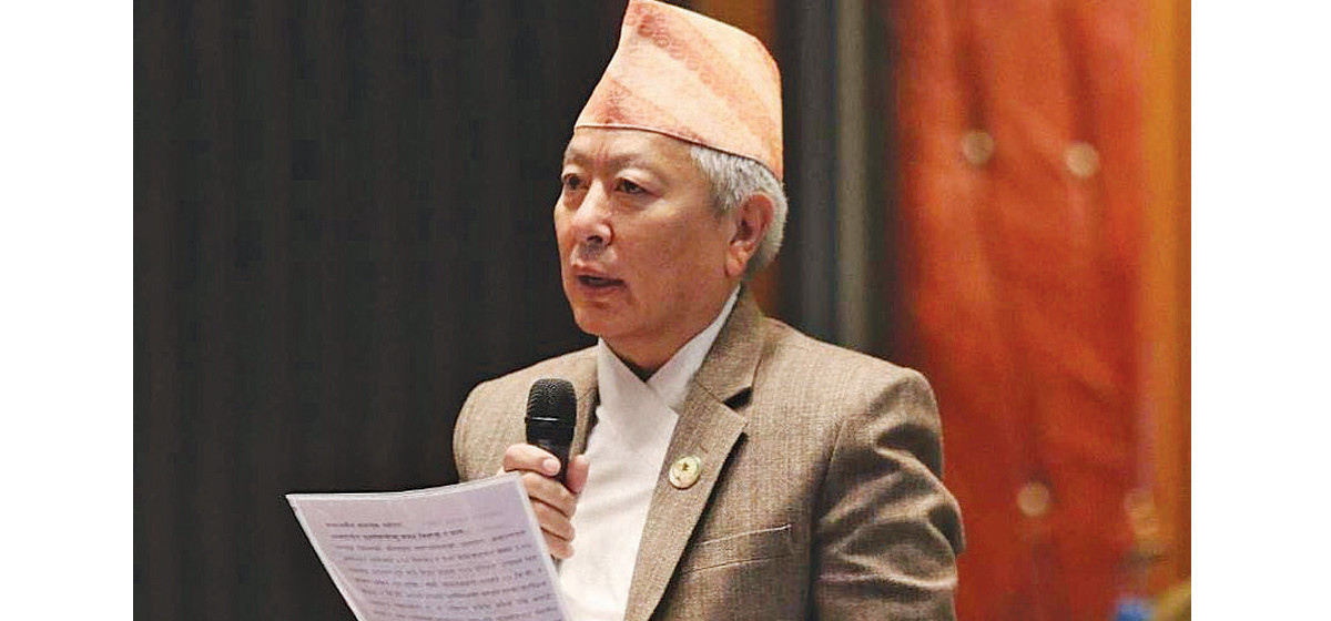 नेपाल एयरलाइन्समा निजी क्षेत्र भित्र्याउन सांसद भट्टचनको सुझाव