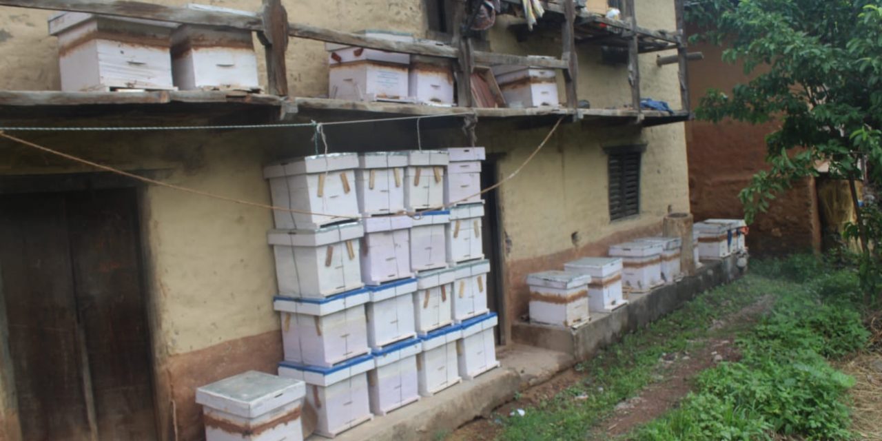 मौरीपालन व्यवसायमा आकर्षण