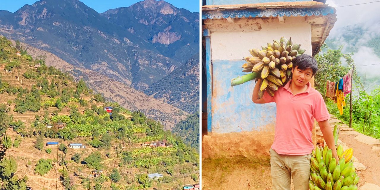 डेढ करोड लगानीमा व्यावसायिक फलफूलखेती