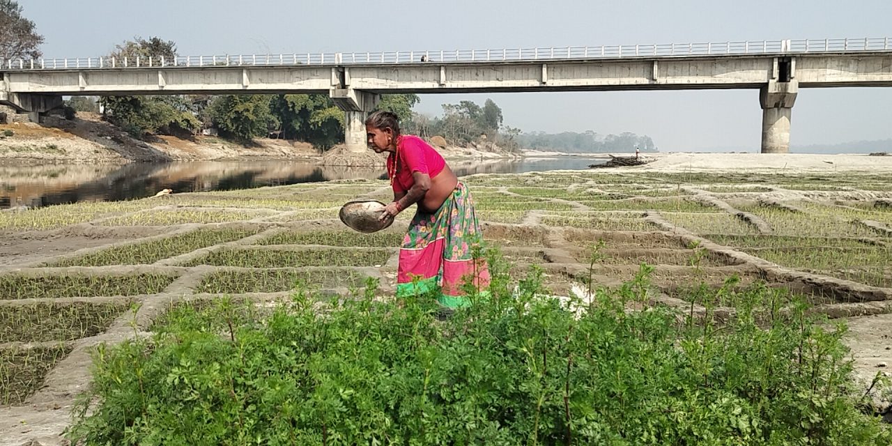 बगरखेतीले फेरिँदै फाँटाका किसानको जीवन