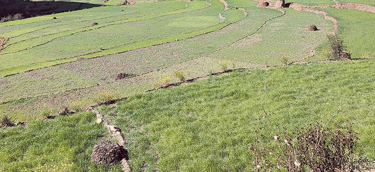 पानीलाई अमृत वर्षाको सङ्ज्ञा दिँदै रसुवाका किसान हर्षित