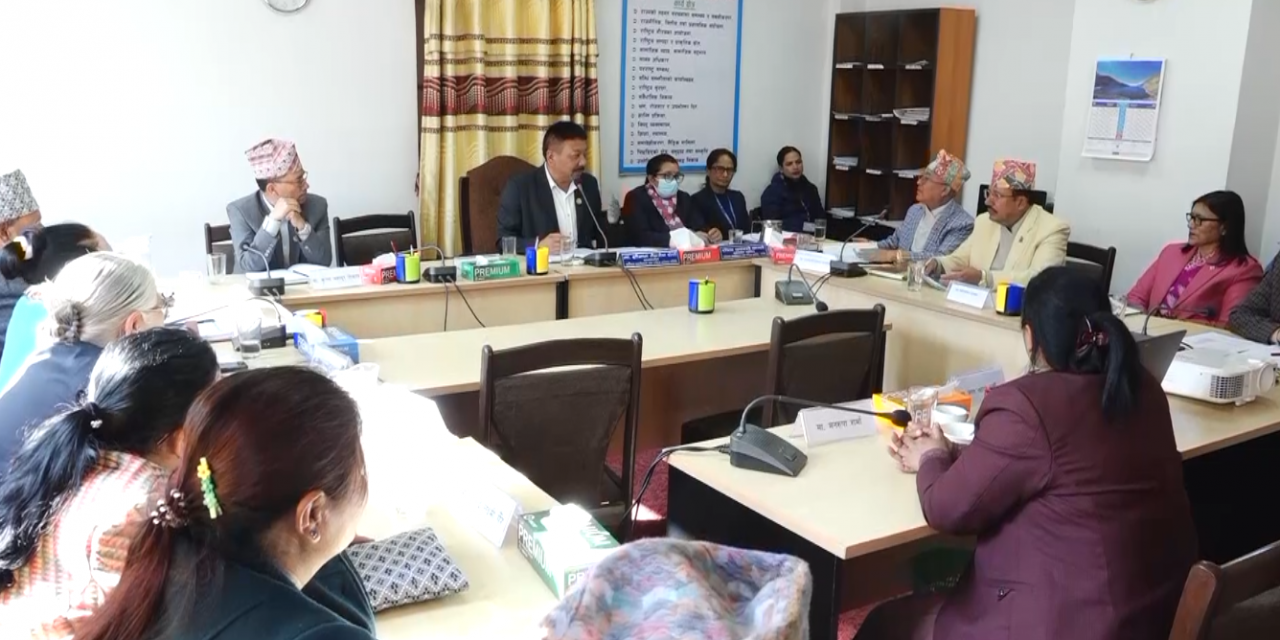 एकीकृत निर्वाचन सम्बन्धी विधेयक सदनमा पेश गर्न सरकारलाई निर्देशन
