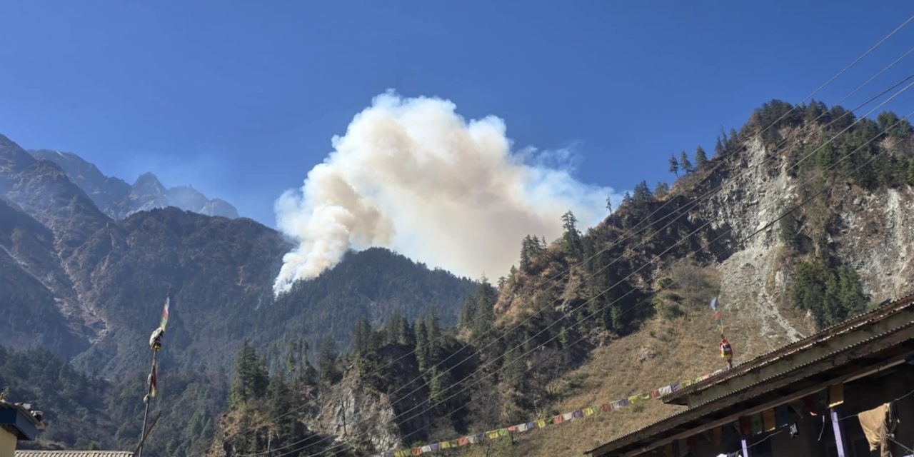 तिमाङको जङ्गलमा लागेको आगो अझै निभाउन सकिएन