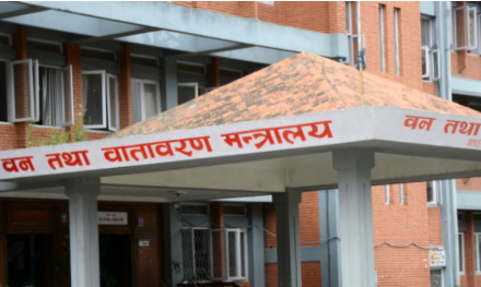 आगामी आवको बजेटमा यस्ता छन् वन मन्त्रालयका नयाँ कार्यक्रम