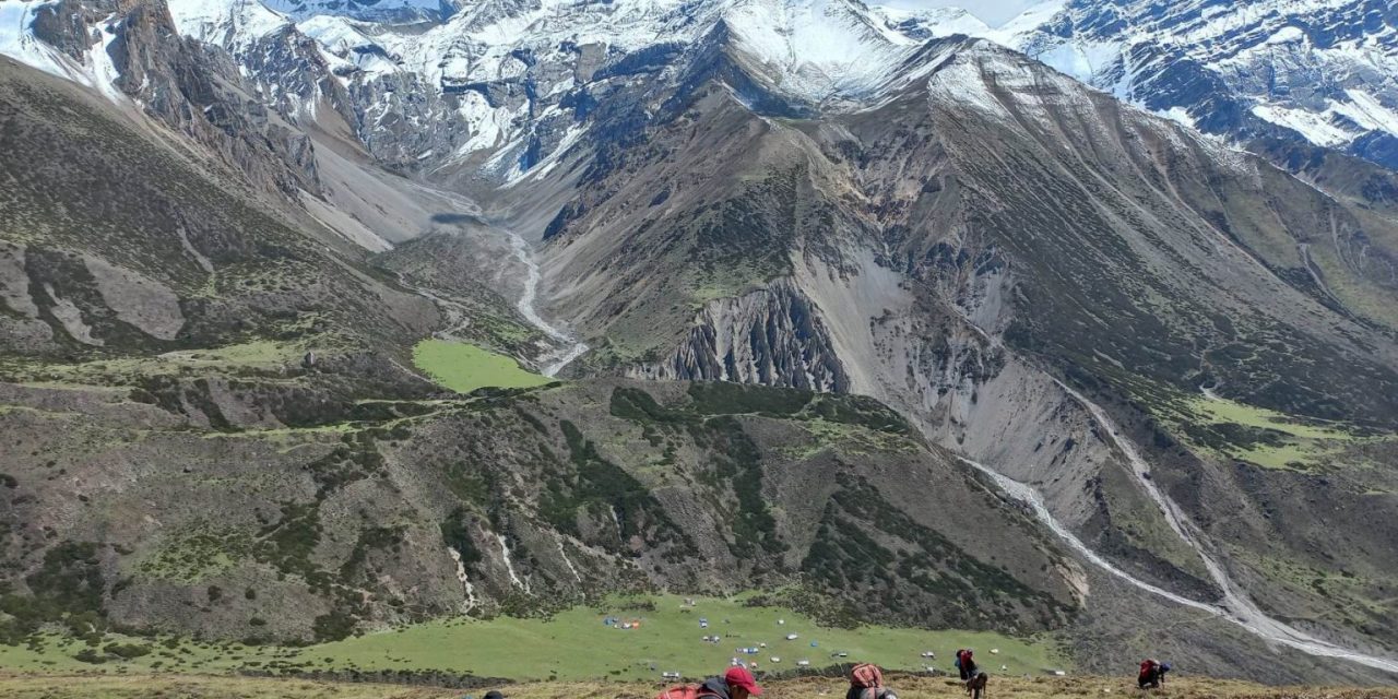 यार्सागुम्बा सङ्कलनका लागि शिक्षक–विद्यार्थी हिमालतिर, विद्यालय बन्द