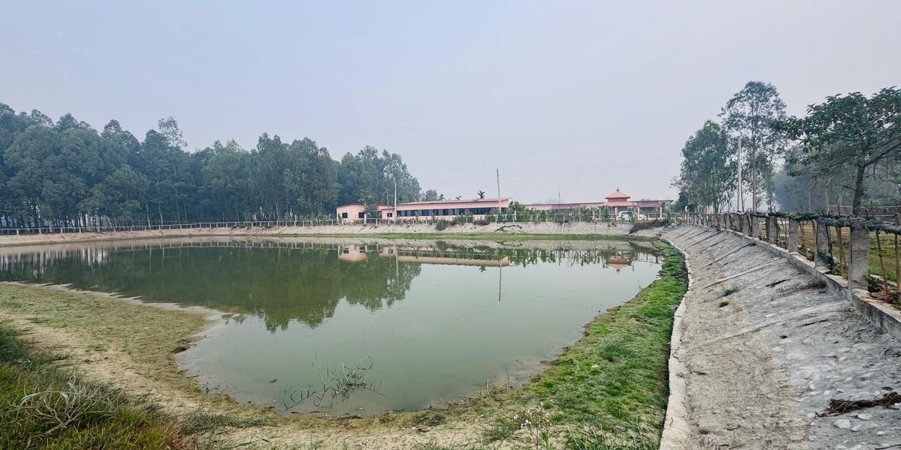 नमूना बन्यो गौरादहको ‘सहकारी खेती’ र ‘कृषि घरबास’