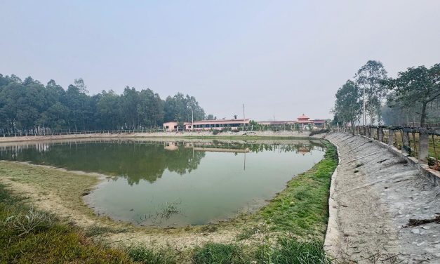 नमूना बन्यो गौरादहको ‘सहकारी खेती’ र ‘कृषि घरबास’