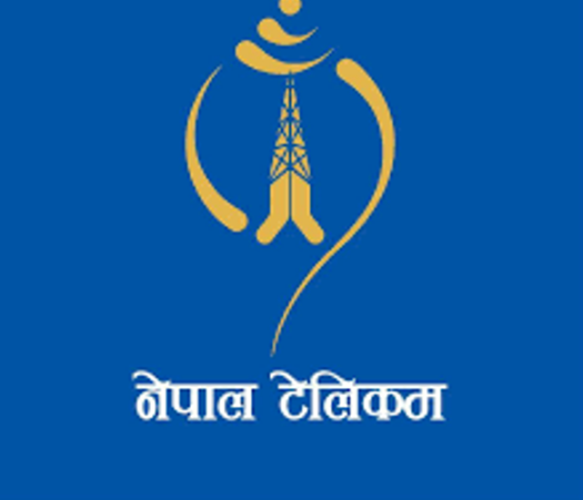 निरन्तर घट्दो नाफाले सङ्कटोन्मुख टेलिकम सेवाप्रदायक