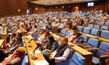 आउँदो बजेटमा शिक्षा र स्वास्थ्यलाई प्राथमिकता दिन सांसदहरूको माग