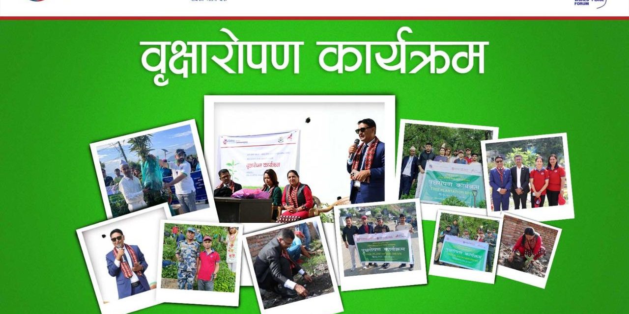 ग्लोबल आइएमई बैंकद्वारा टोखा र दिक्तेल रुपाकोट मझुवागढी नगरपालिकामा वृक्षारोपण