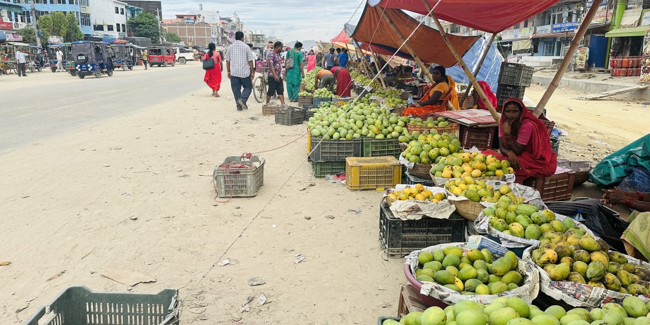 आँपको सुवासले मगमगाइरहको छ सिरहा, चिस्यान केन्द्र नहुँदा समस्या