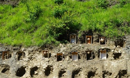 म्याग्दीमा व्यावसायिक अरिङ्गालपालन