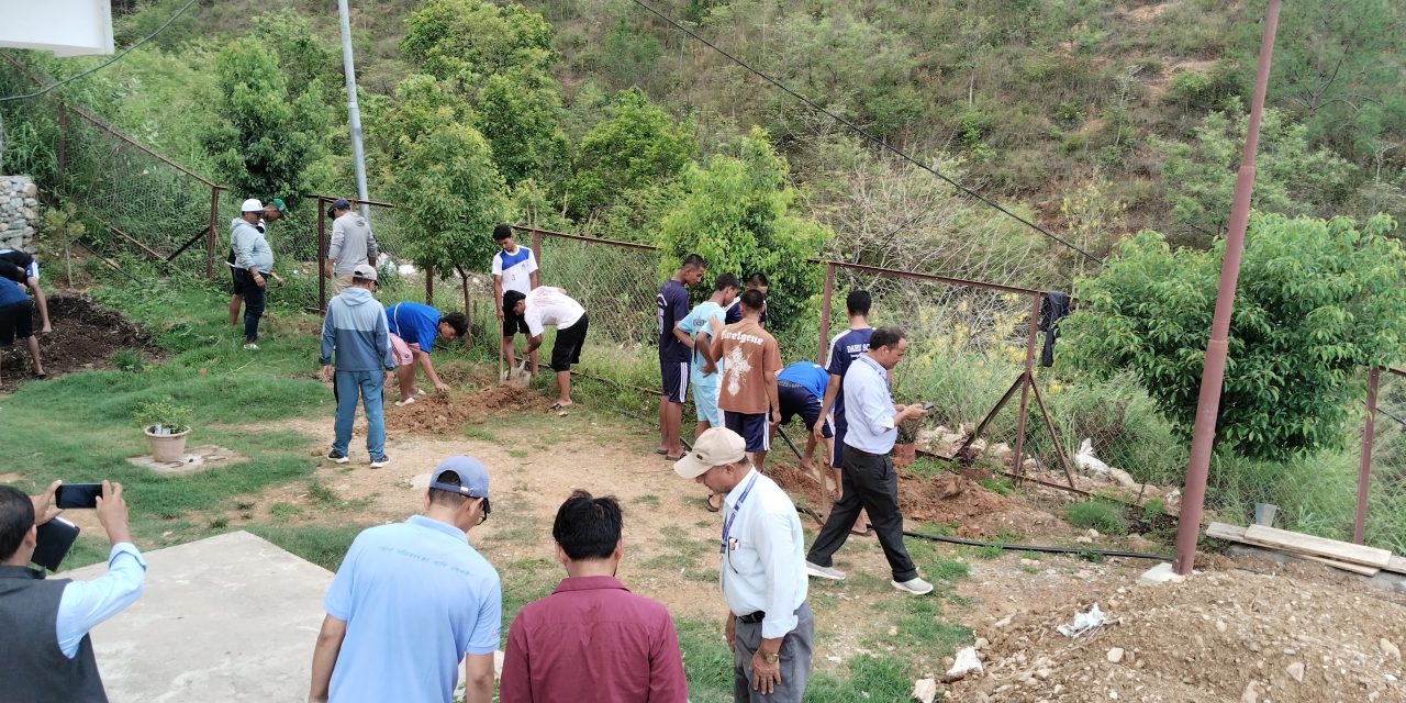 विद्यालयको आम्दानी बढाउन बुद्धचित्तको बिरुवा लगाइँदै