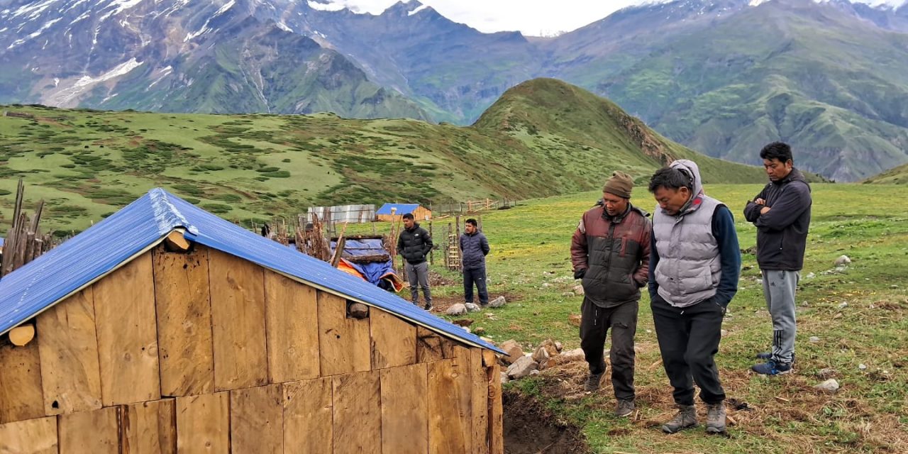 मुस्ताङका चार पालिकामा घुम्ती गोठ निर्माण