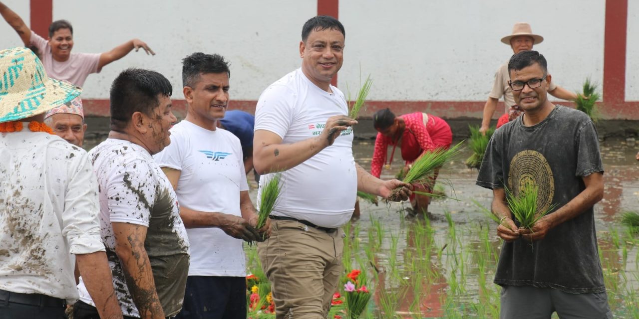 ‘छुपुमा छुपु हिलोमा धान रोपेरै छोडौंला, नेता बानियाँको नेतृत्वमा यो देशको मुहारै फेरौंला’