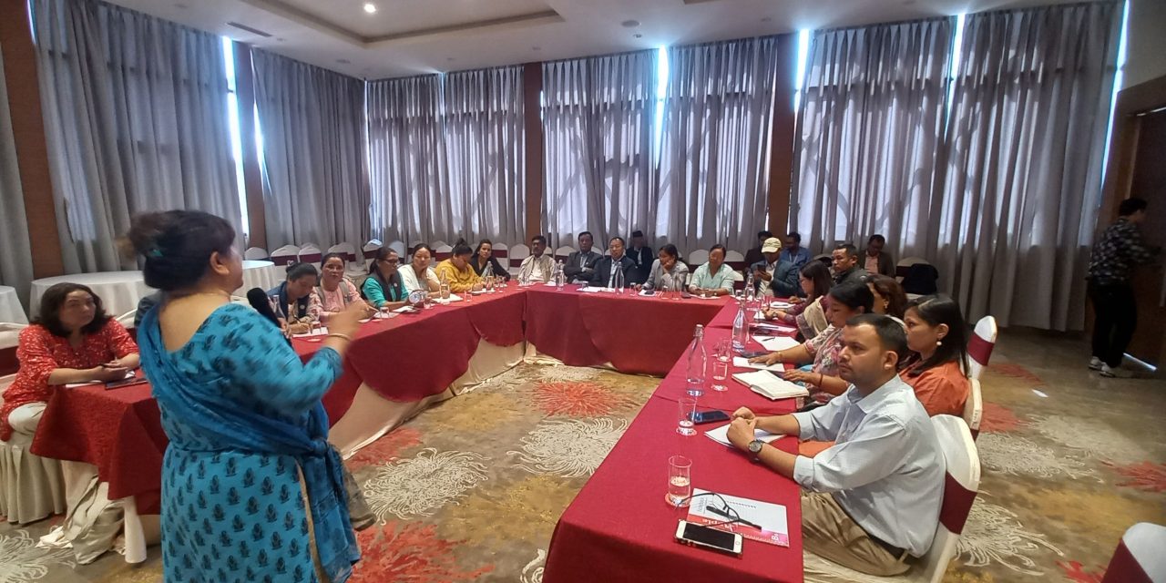 सांसदहरूद्वारा घरेलु श्रमसम्बन्धी अन्तरराष्ट्रिय महासन्धिमा अनुमोदनमा सहयोग गर्ने प्रतिबद्धता
