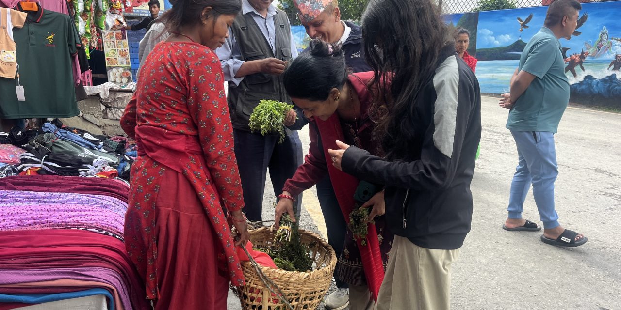 निगुरो बेचेर घरखर्चको जोहो गर्दै कुमाल समुदाय