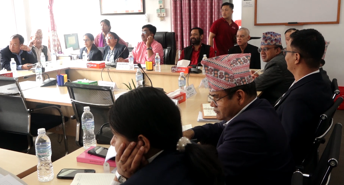 सौर्य एयरलाइन्सको विमान दुर्घटनाबारे अन्तरराष्ट्रिय समितिमा छलफल