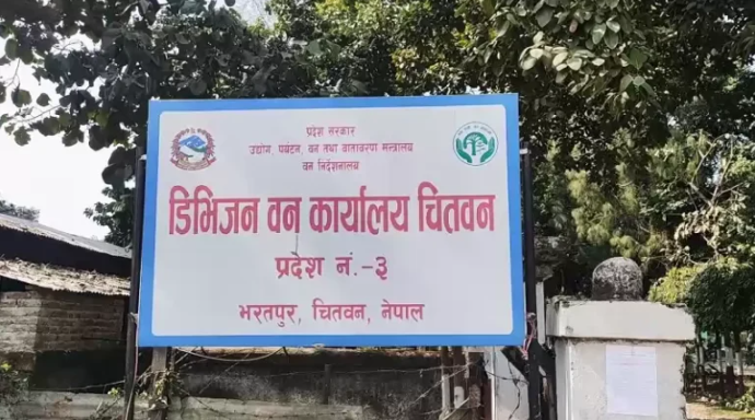 निःशुल्क वितरण गरिएका बिरुवाको अनुगमन गर्दै वन कार्यालय