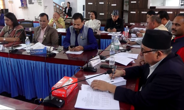 किसानलाई रासायनिक मल सहज रुपमा उपलब्ध गराउन सरकारलाई निर्देशन
