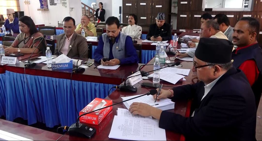 किसानलाई रासायनिक मल सहज रुपमा उपलब्ध गराउन सरकारलाई निर्देशन