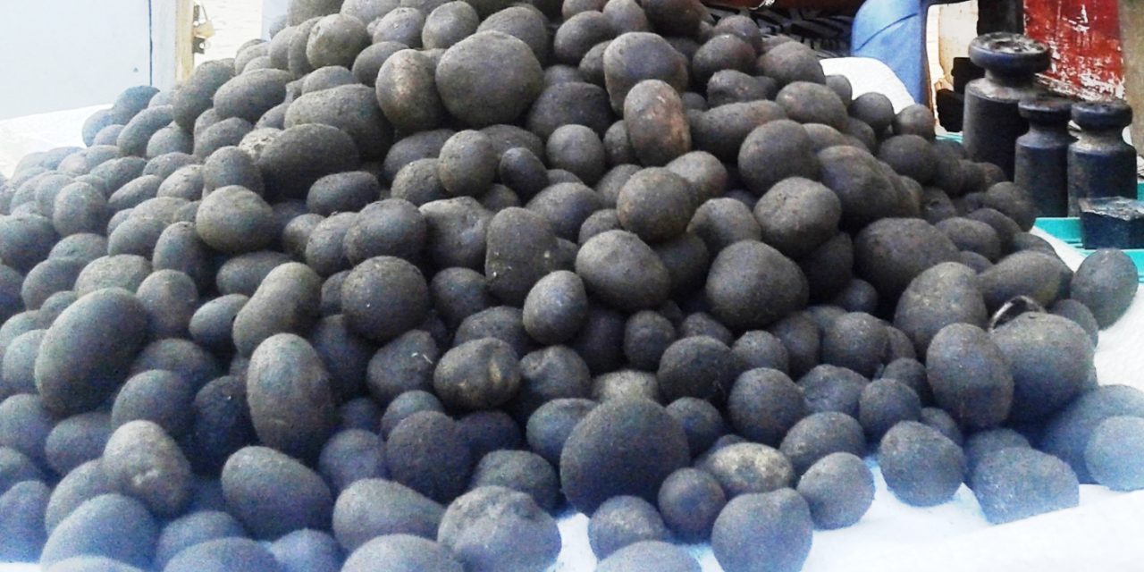 थारु समुदायको भान्सामा हराउँदै ‘फुटकी च्याउ’ को स्वाद