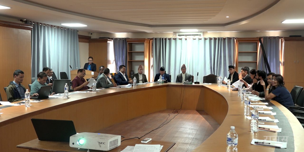 पाटन अदालतको इतिहासमा पहिलो पटक दुईवर्षे मुद्दा शून्यमा