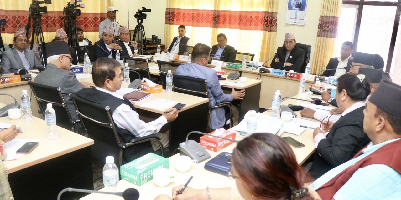 ‘कुलिङ पिरियड’को गडबढी : राज्य व्यवस्था समितिमा सांसद र कमर्चारीबीच आरोप-प्रत्यारोप