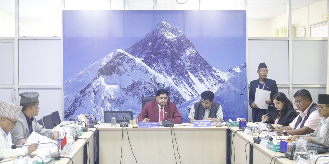 ‘स्वदेशी वस्तुको निकासी प्रवर्द्धन सहज बनाउन प्राधिकरण आवश्यक’