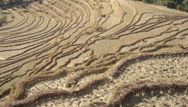 कर्णालीमा जग्गा बाँझो राख्नेलाई जरिवाना