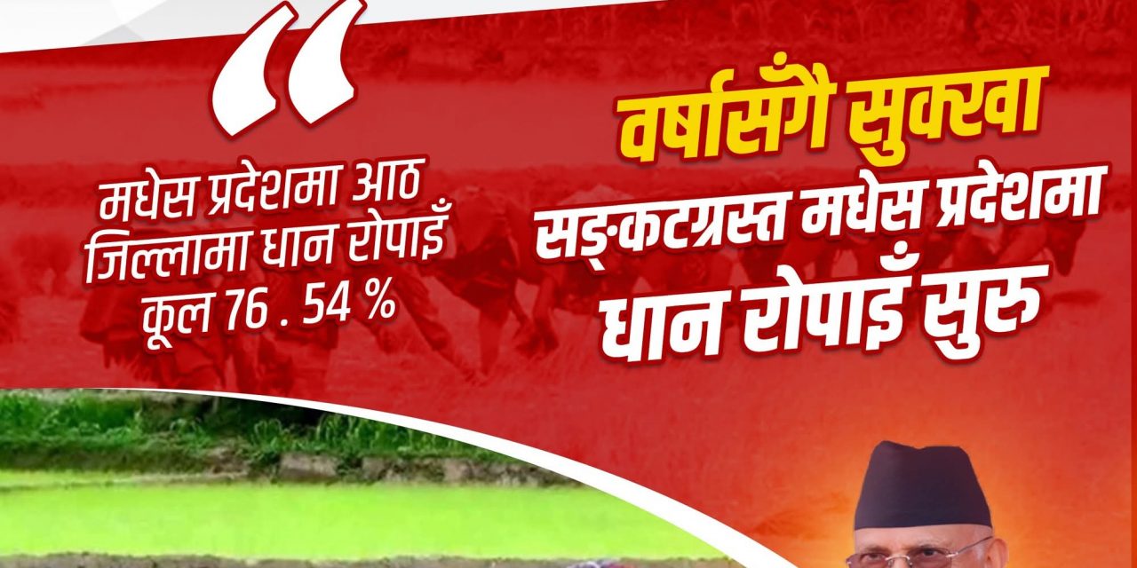 सरकारले तराईमा सिँचाइको स्थायी समाधान खोज्ने