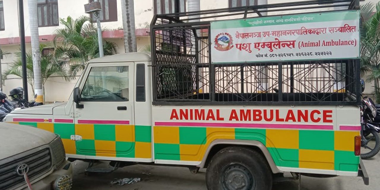 नेपालगञ्जमा ‘एनिमल एम्बुलेन्स’ सञ्चालन