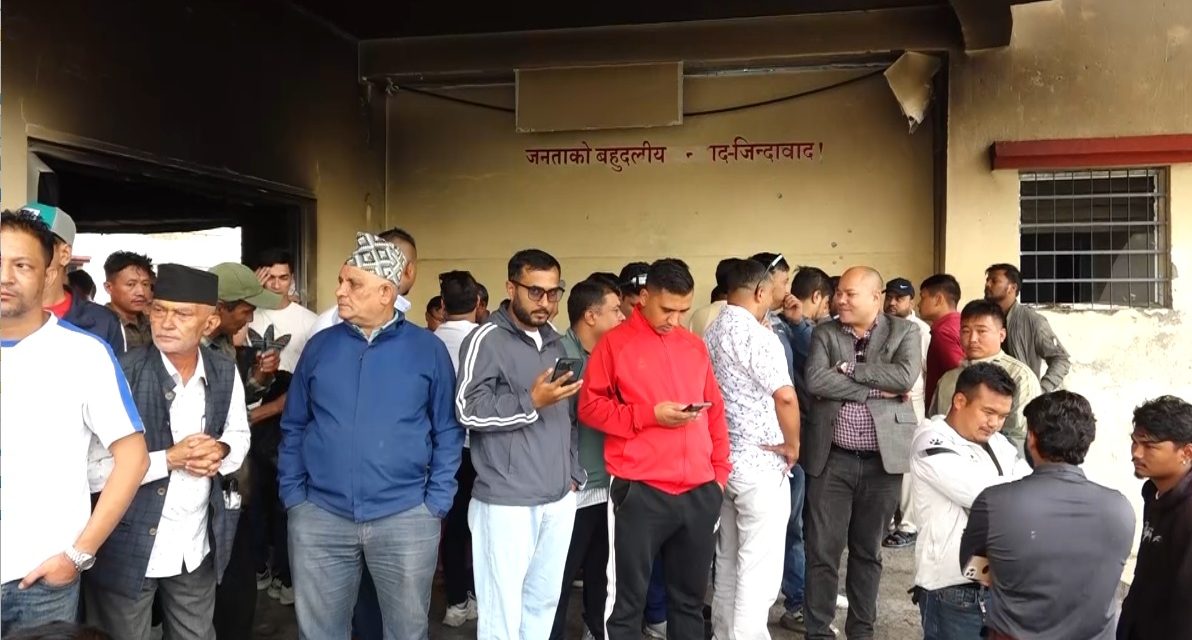 पार्टीलाई छिट्टै पुरानै अवस्थामा फर्काउने एमाले युवा नेताहरुको उद्घोष