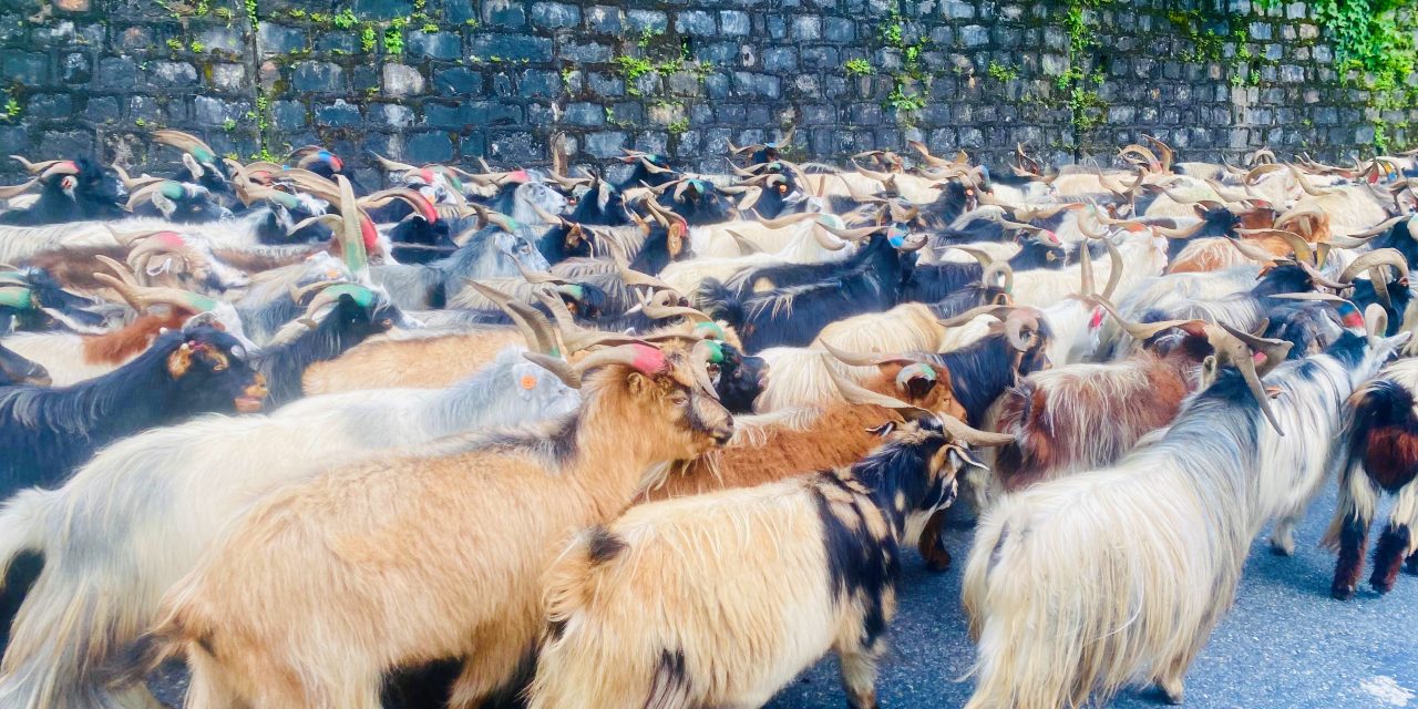 लेकका च्याङ्ग्रा सहरमा